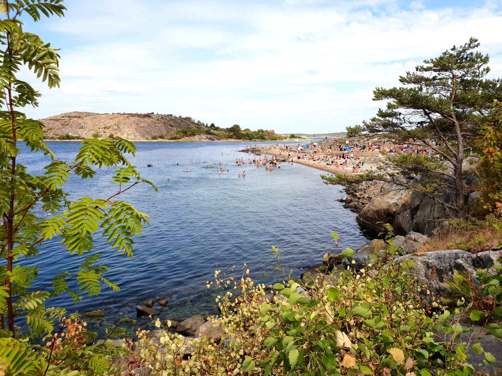 Byggfirma i Sävedalen