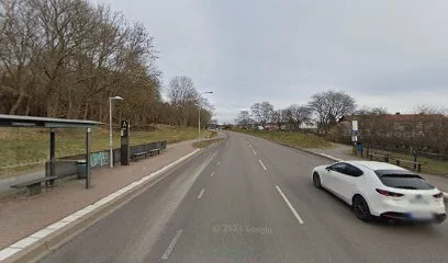 Lemmingsgatan